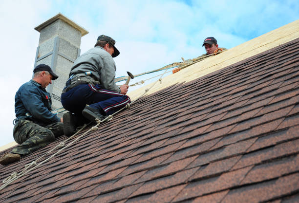 Quick and Trustworthy Emergency Roof Repair Services in Alpena, MI